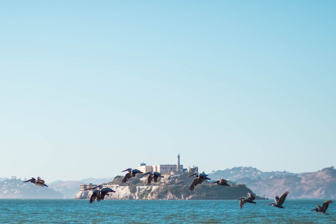 the Alcatraz-wave